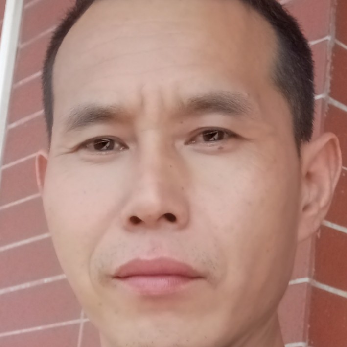 鸡有俊逸的照片