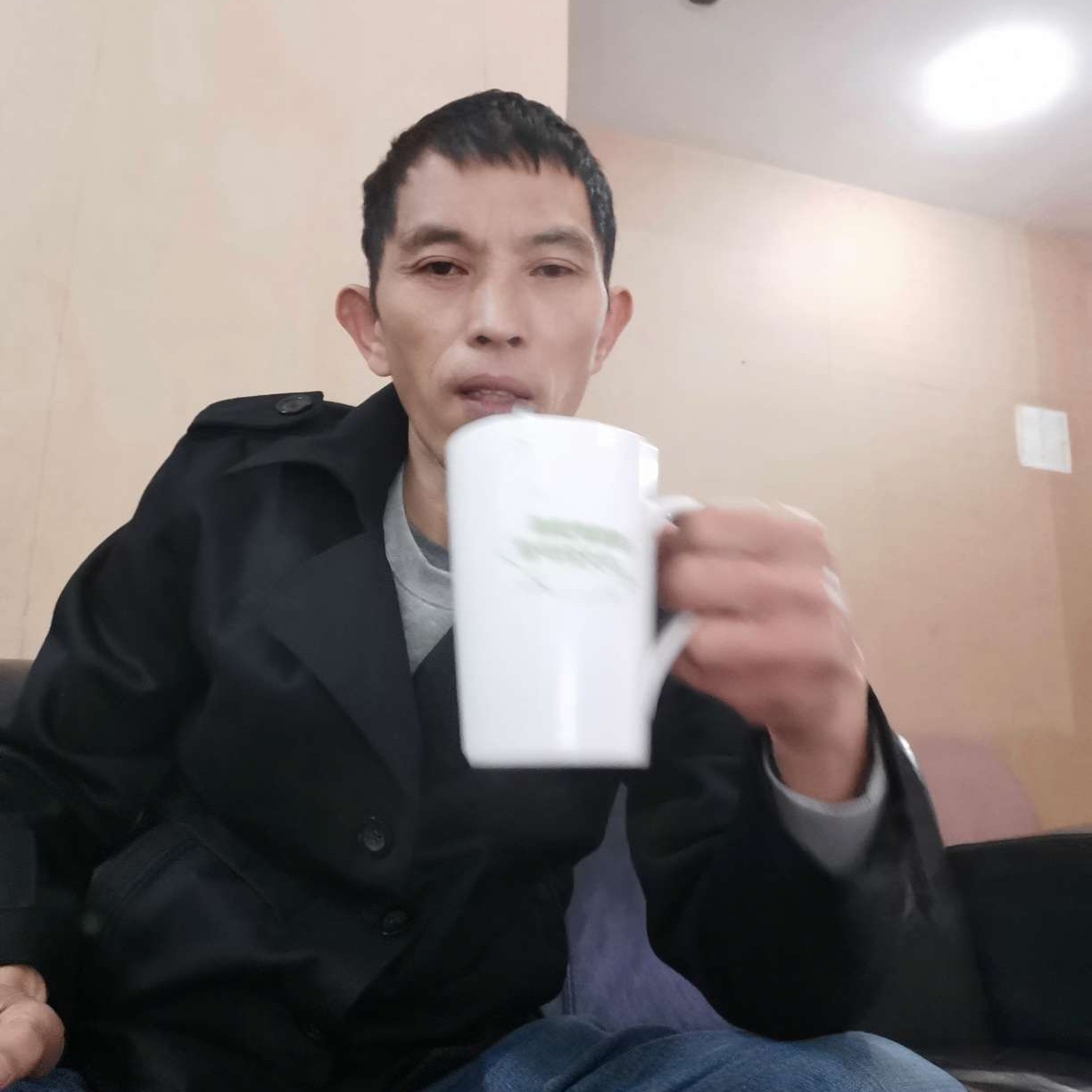 不解的浅吻小天鹅的照片