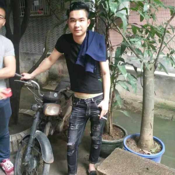石头吃醋俊逸的照片