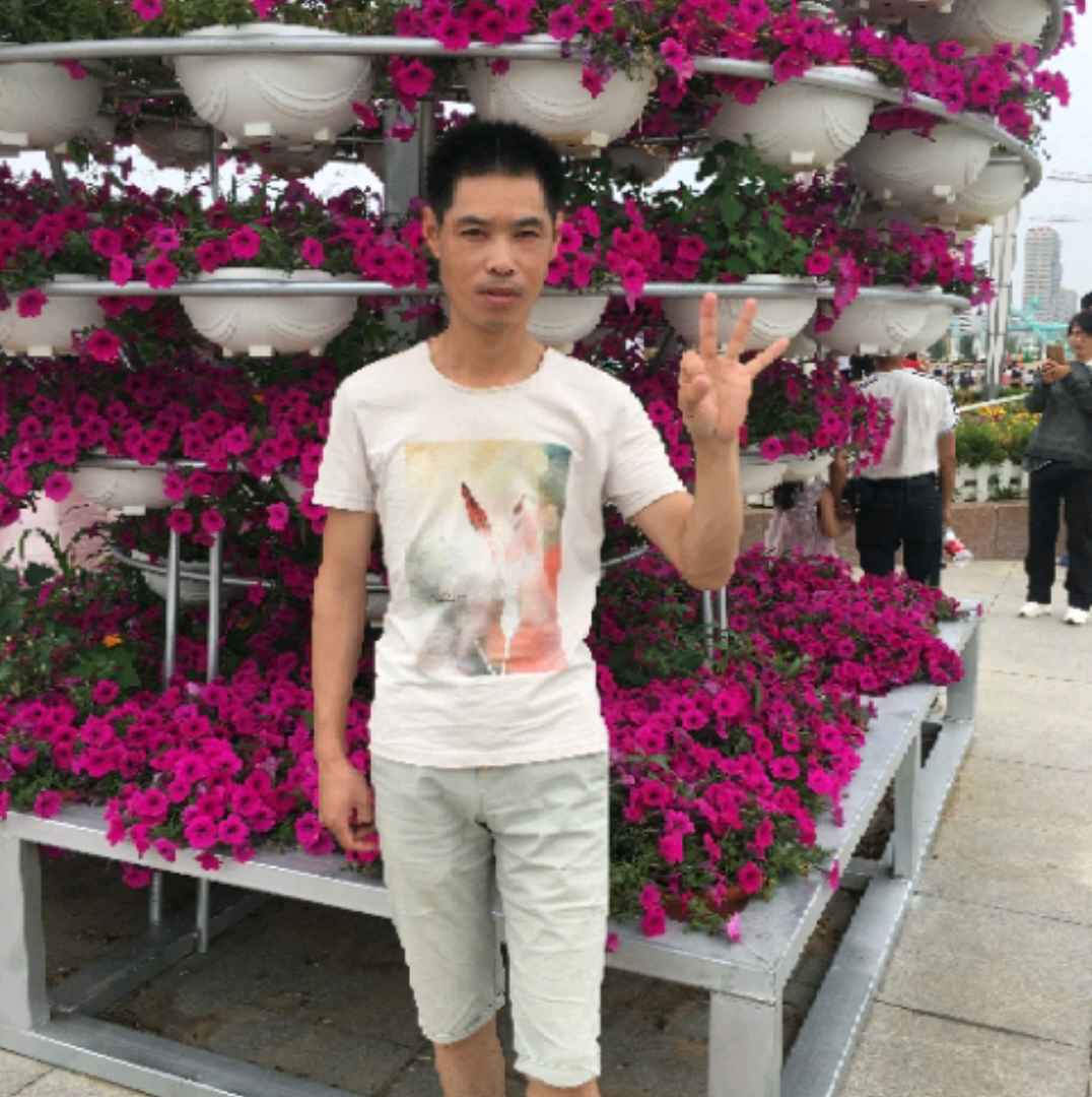 陶醉的小懒猪的照片
