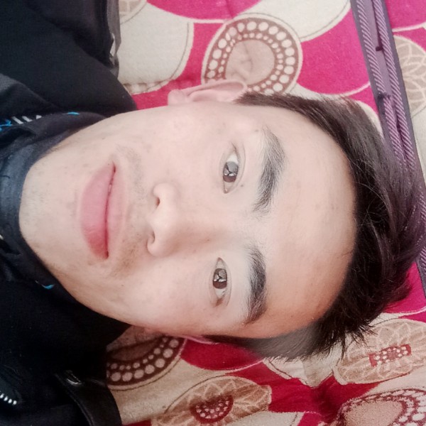 暴躁改变大树的照片