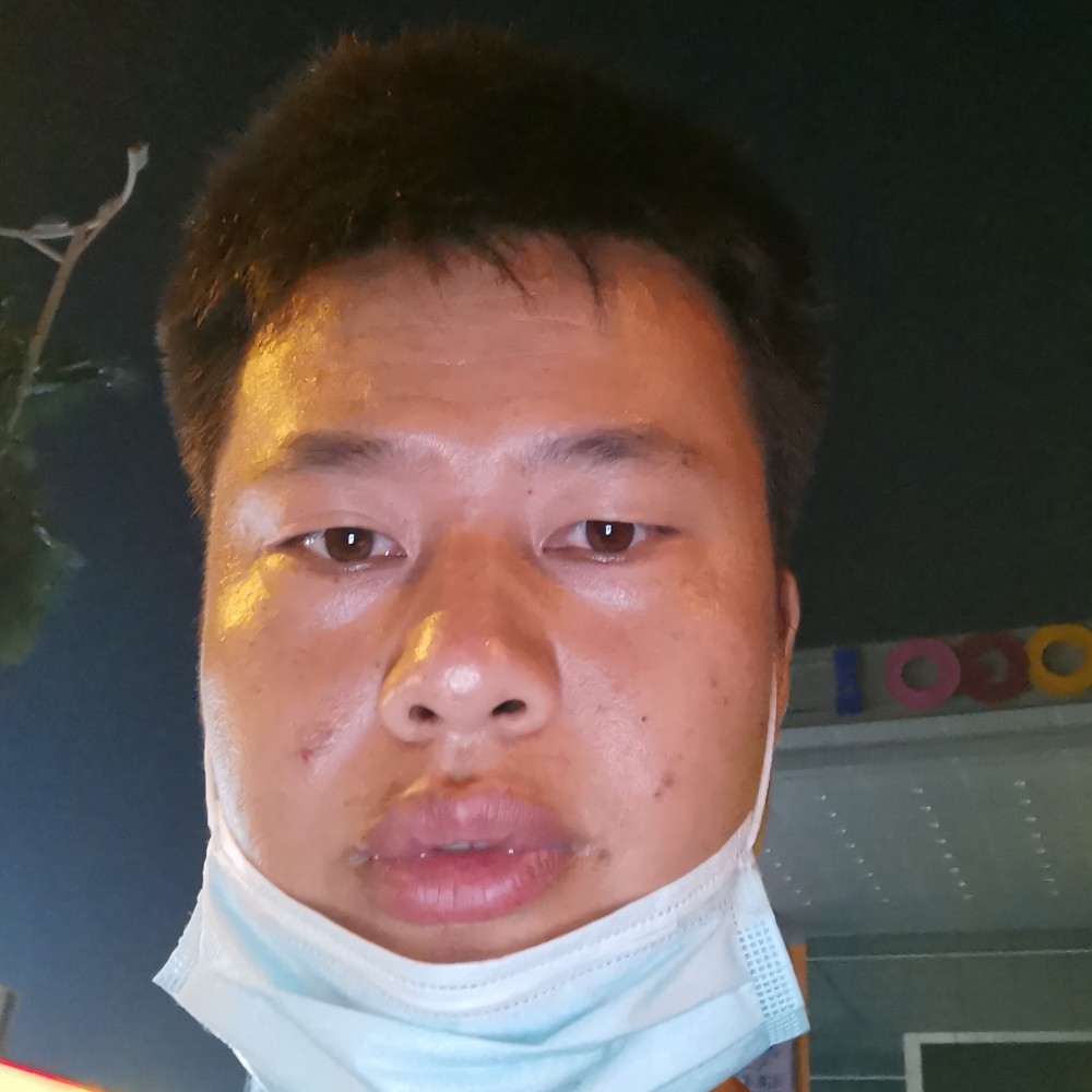 兴奋保卫蜜蜂的照片