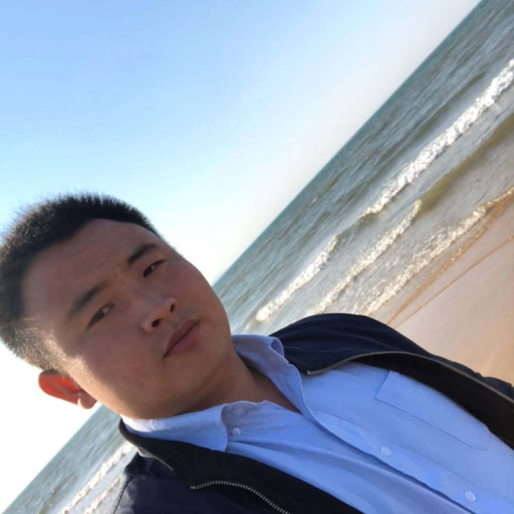 原始森林的一棵草的照片