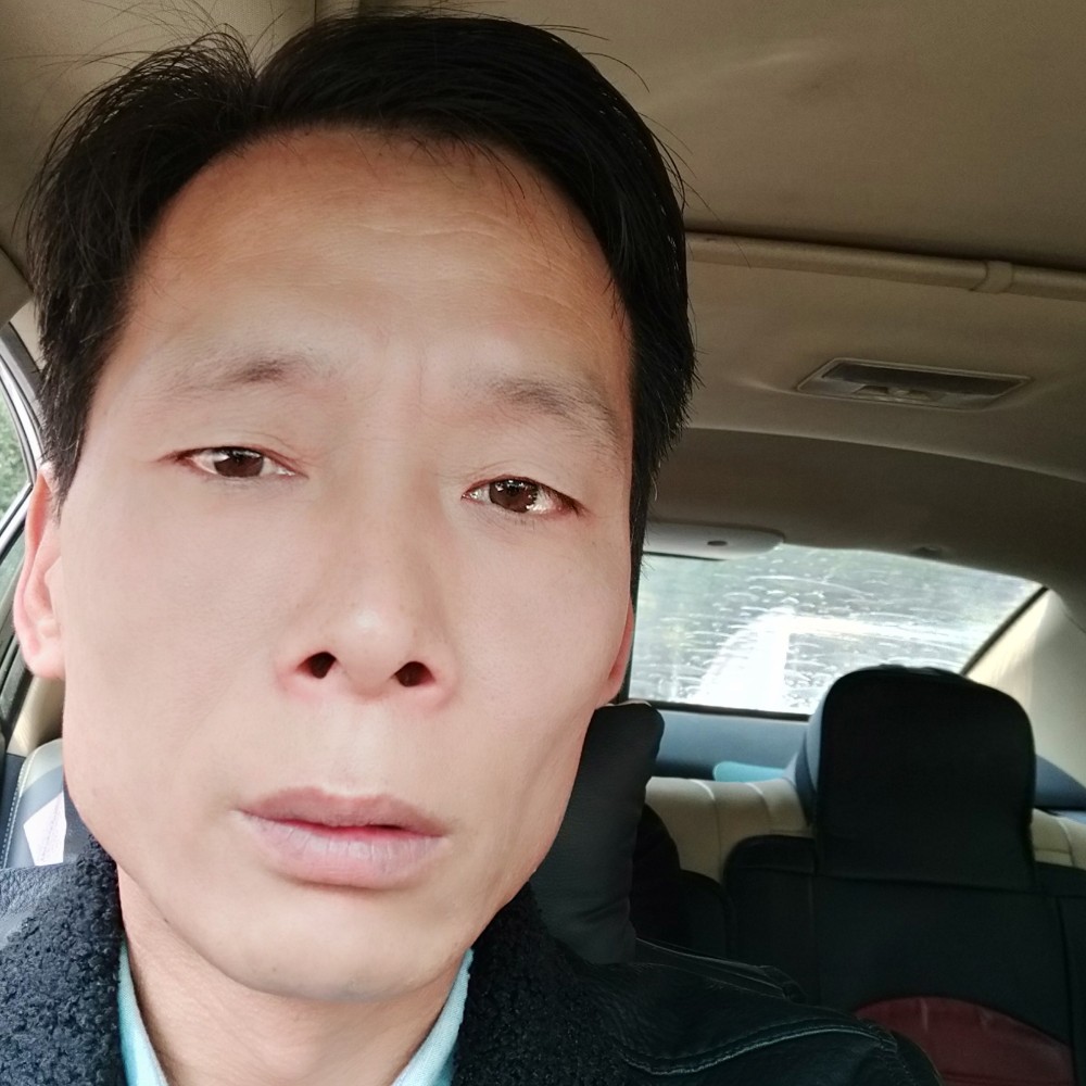 风中浅吻金鱼的照片
