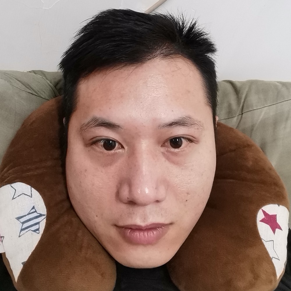 落叶归根的照片