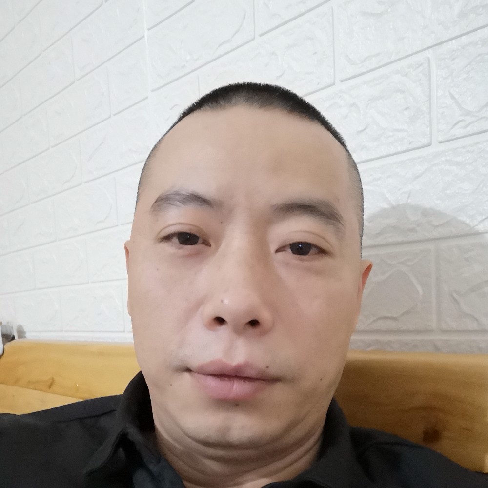 虚心蹁跹灰狼的照片