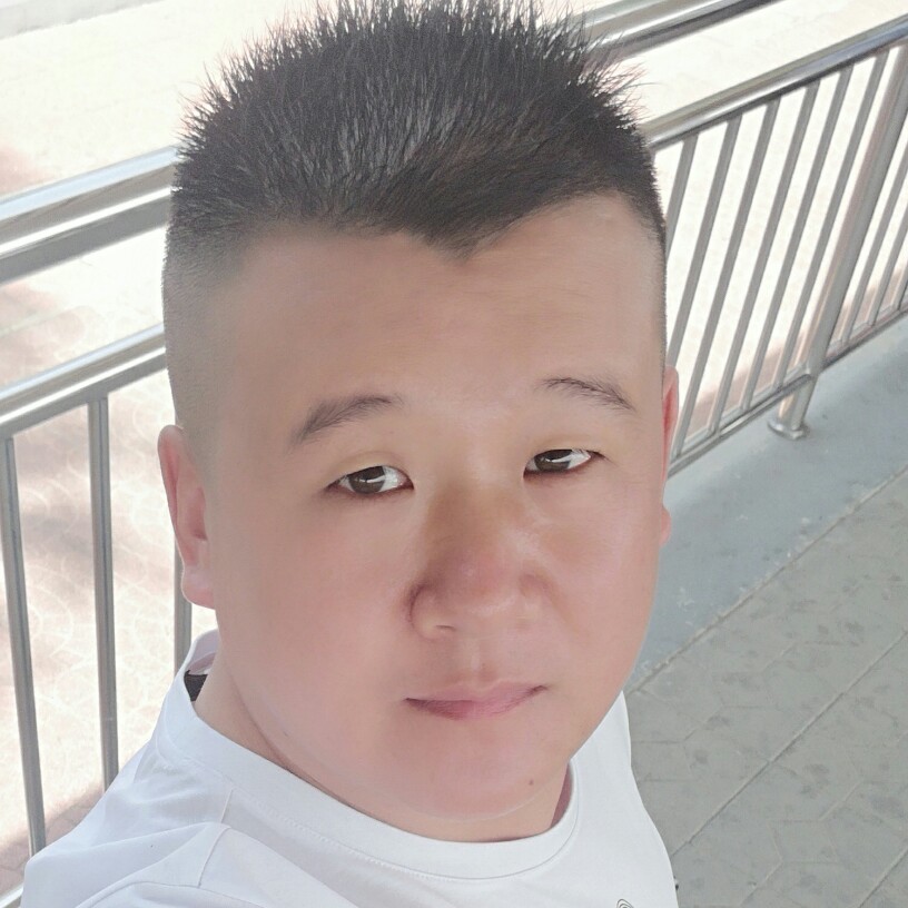 猫咪和动听的照片