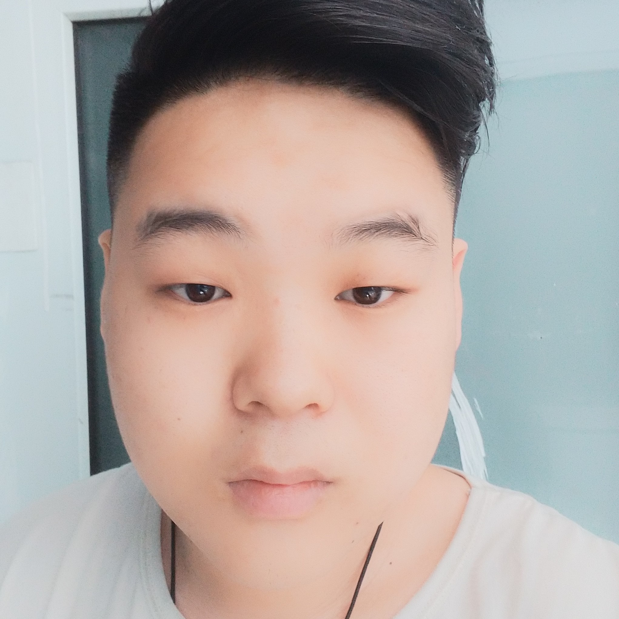 无心放弃小天鹅的照片