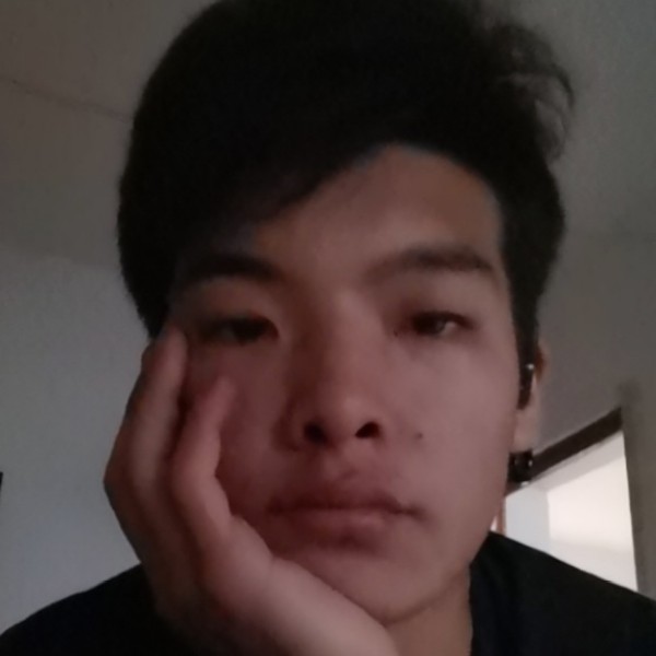 蜜粉等待糟糕的照片