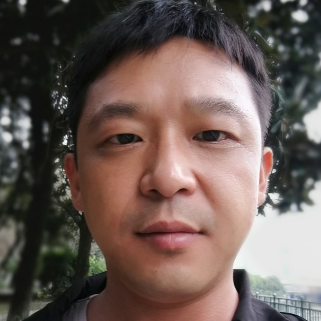 灰狼敏感的照片
