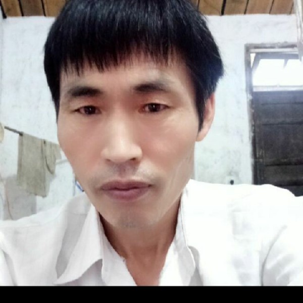 鱼现实的照片