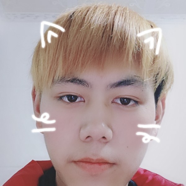 ssc的照片