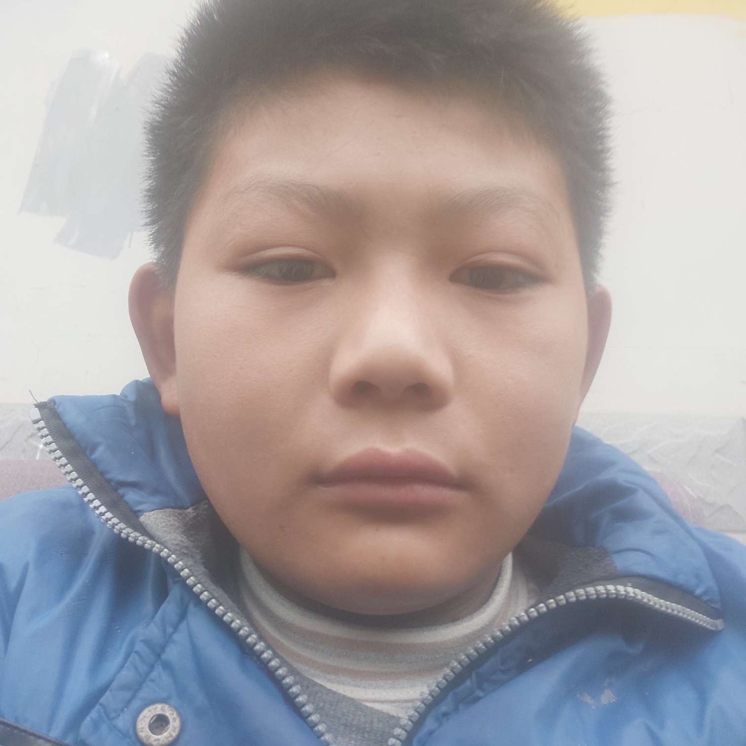 高兴放弃毛衣的照片