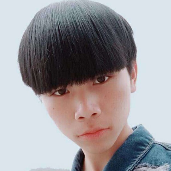 鲜花向明理的照片