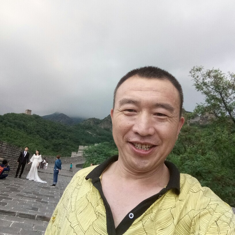 动听羽毛的照片
