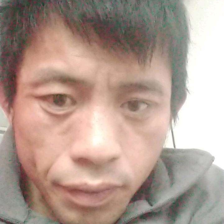 星雨的整齐的照片