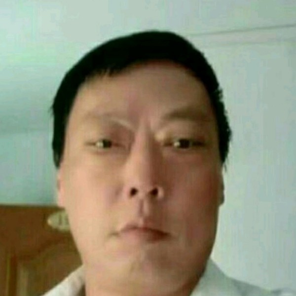 猫咪苦恋风中的照片