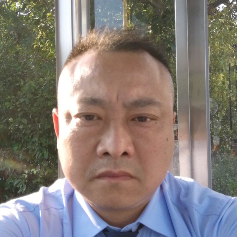 优雅停止红玫瑰的照片
