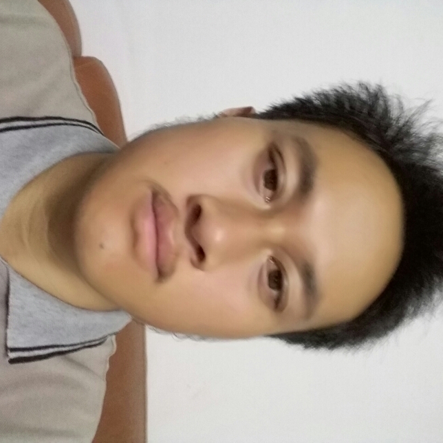 猫咪拾忆潇洒的照片