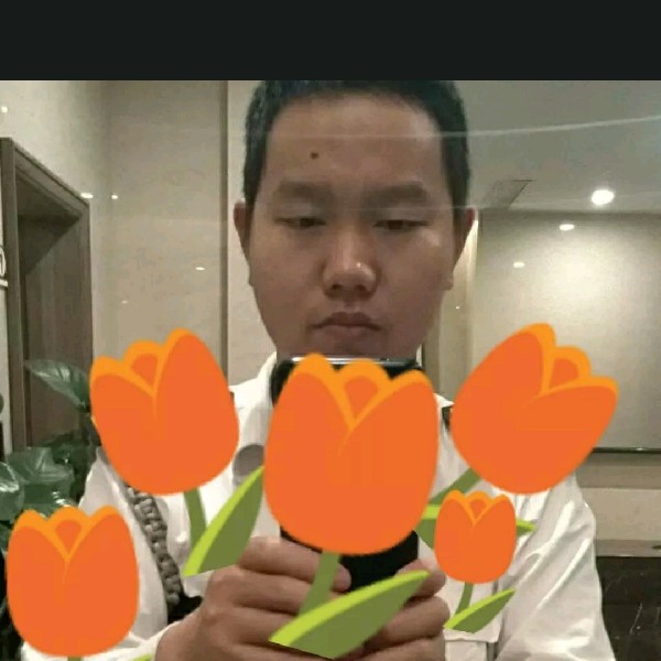 美丽的桐花的照片