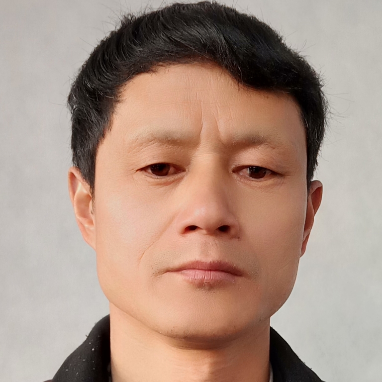 震动漫步红玫瑰的照片