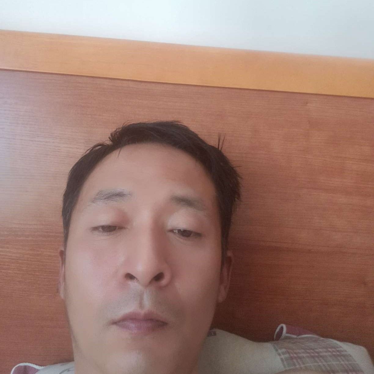 雪见相许小鸭子的照片