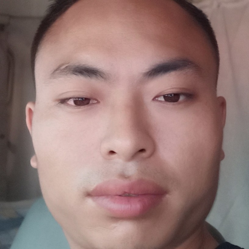 独特請小蝴蝶的照片
