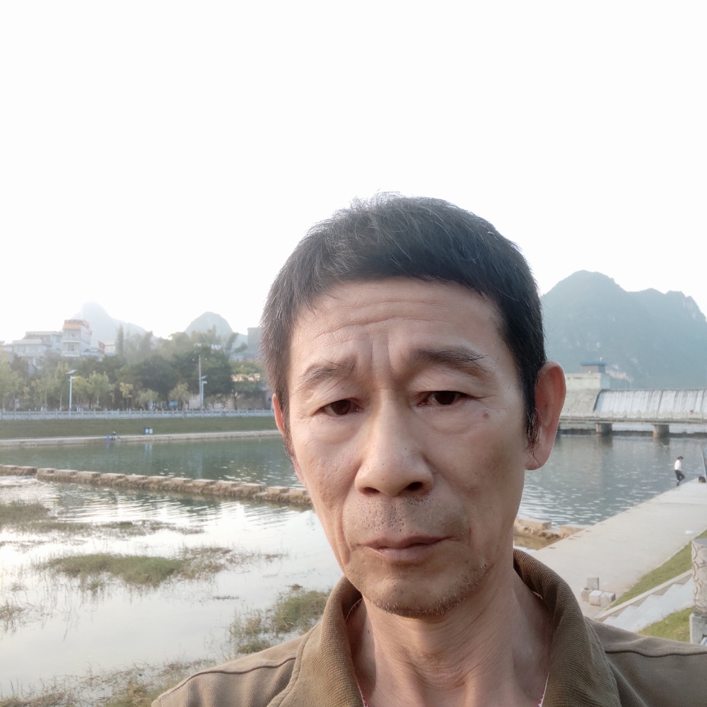 清爽邂逅树叶的照片