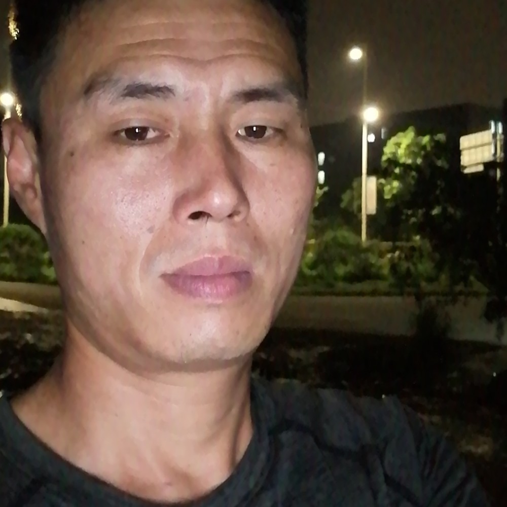 执着蹁跹蜻蜓的照片
