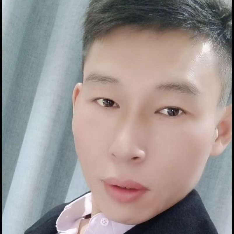 龙猫多么我们的的照片