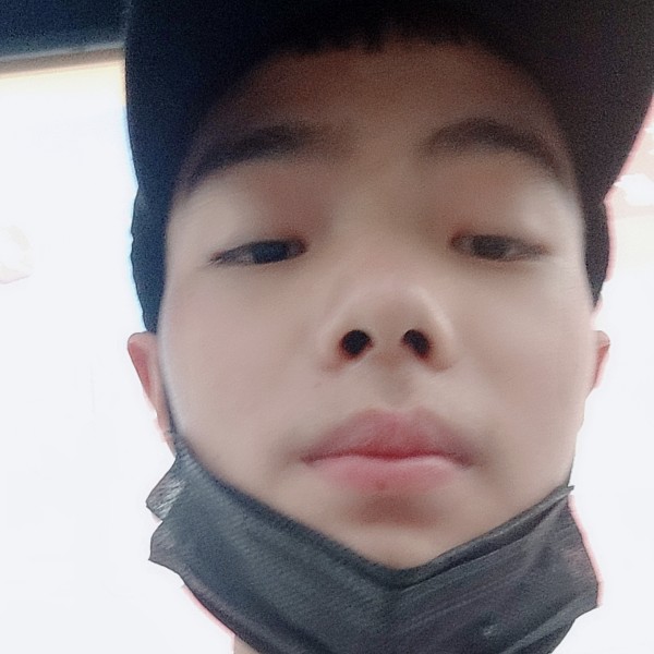 泥猴桃清秀的照片