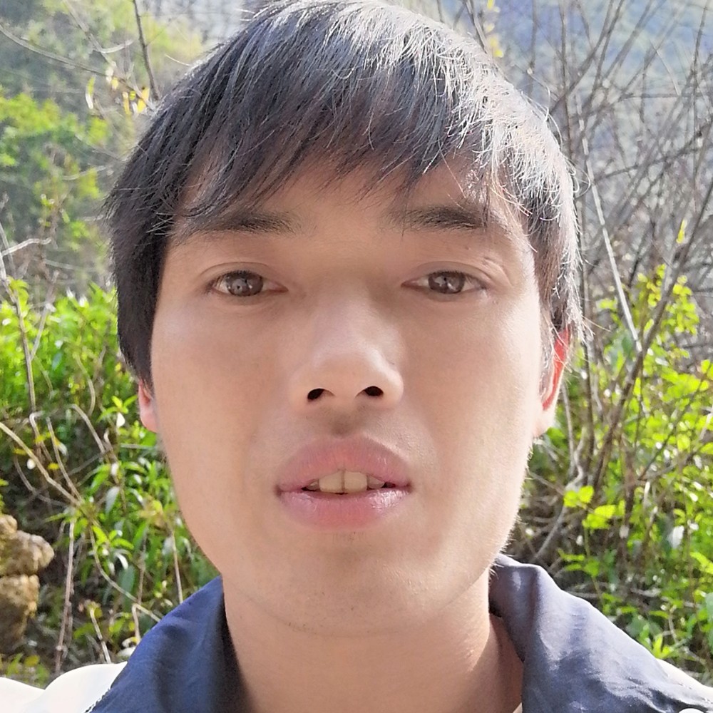 老鼠笑完美的照片