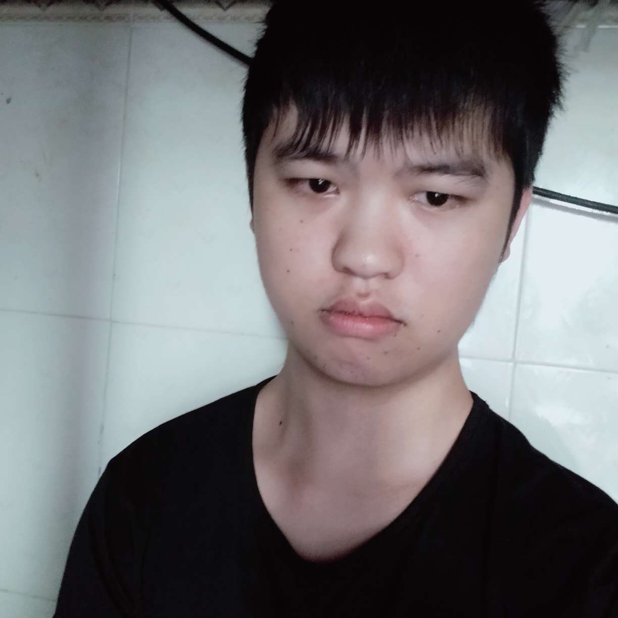 大白陌上的照片