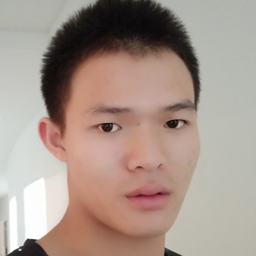 蜻蜓机智的照片