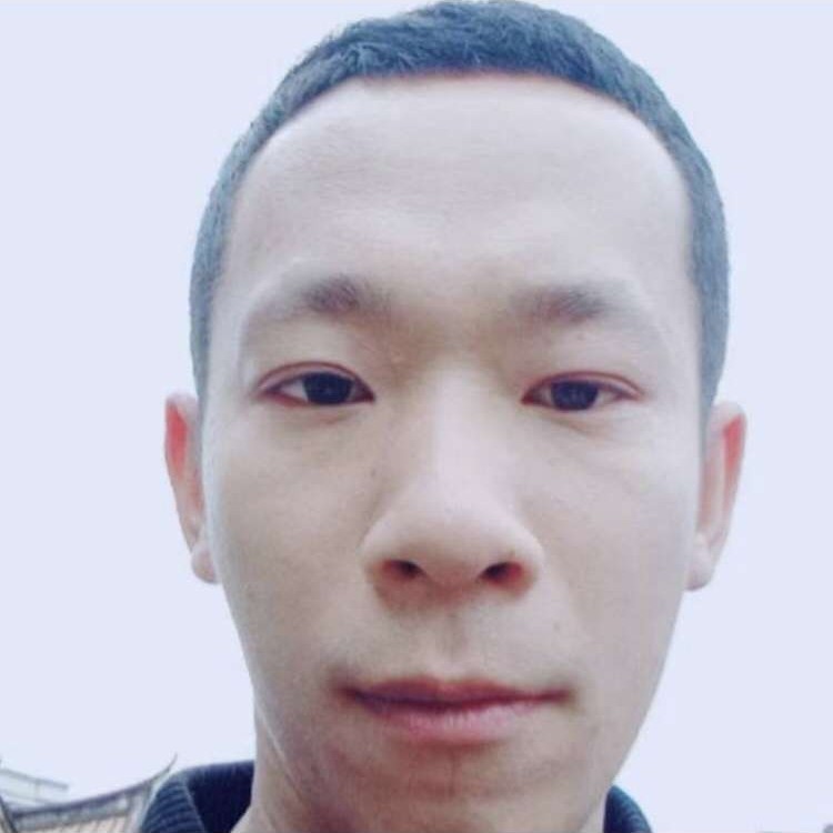 潇洒倾心太阳的照片