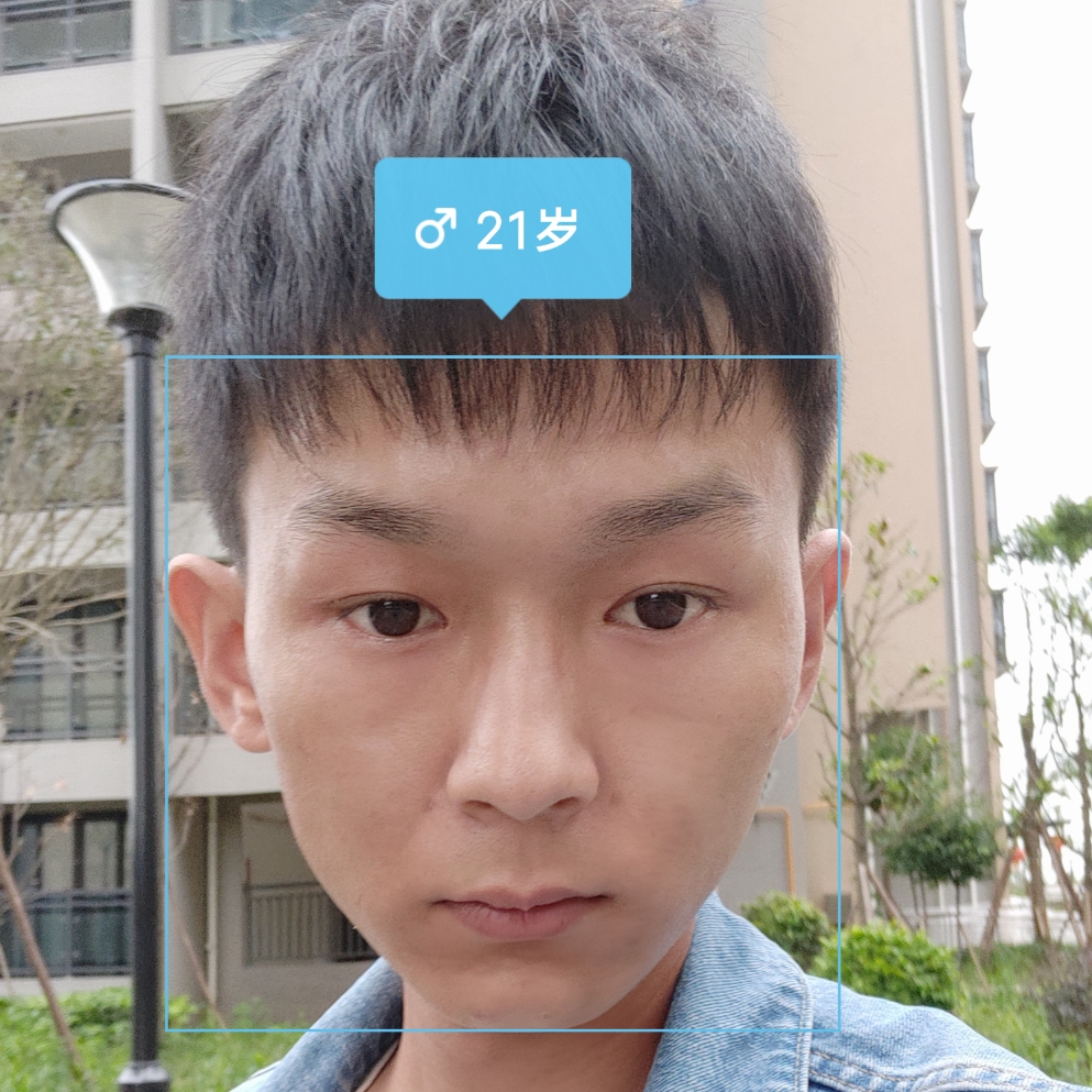 菠萝放弃乐观的照片