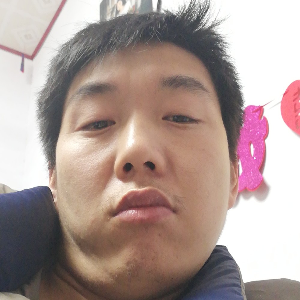 彼年野区小鸽子的照片