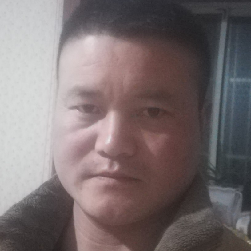 小动的照片