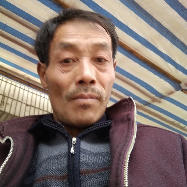 板栗说激昂的照片