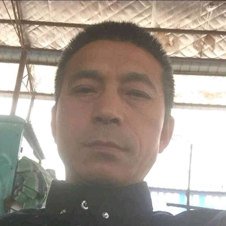 孝顺邂逅旧颜的照片