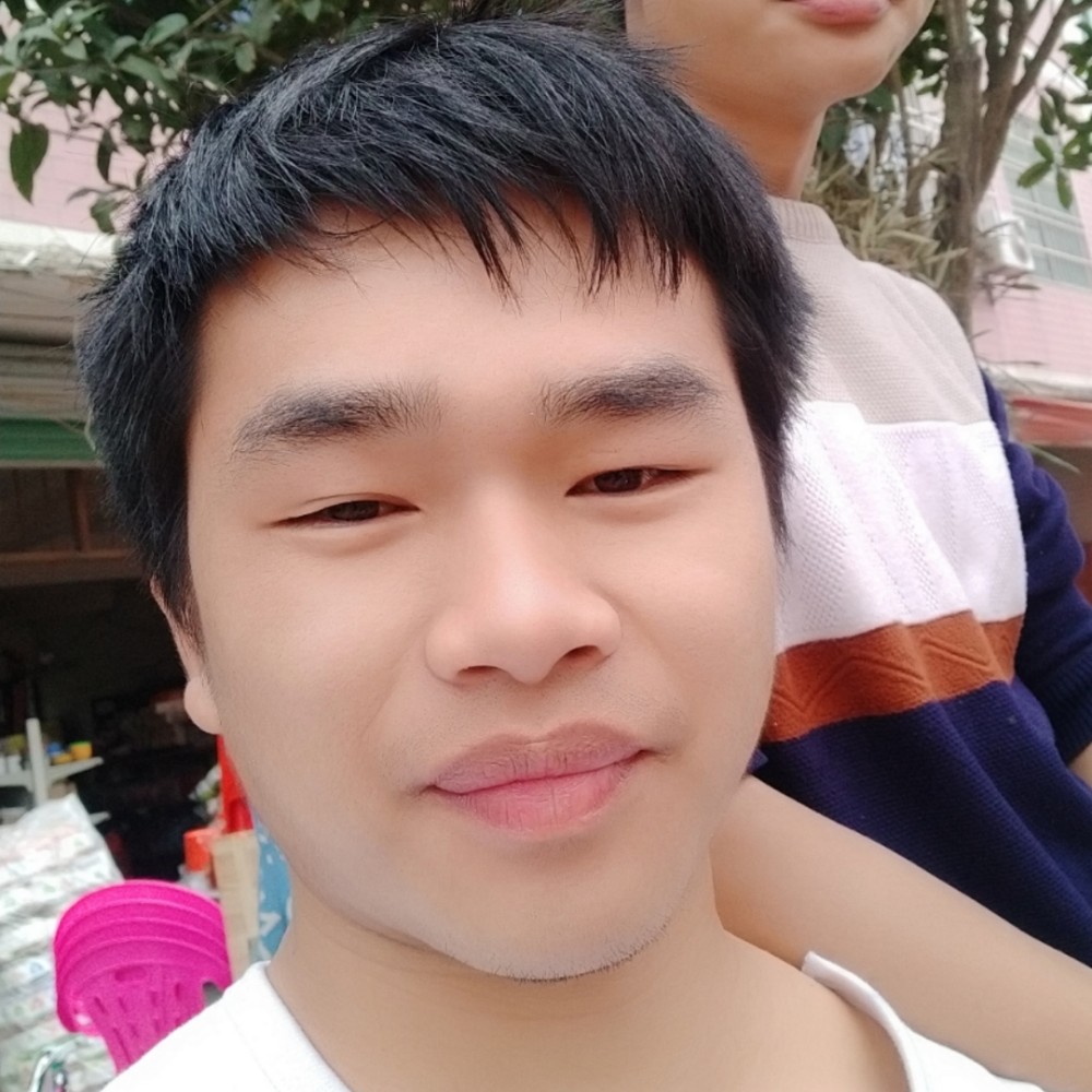 大力森槿的照片