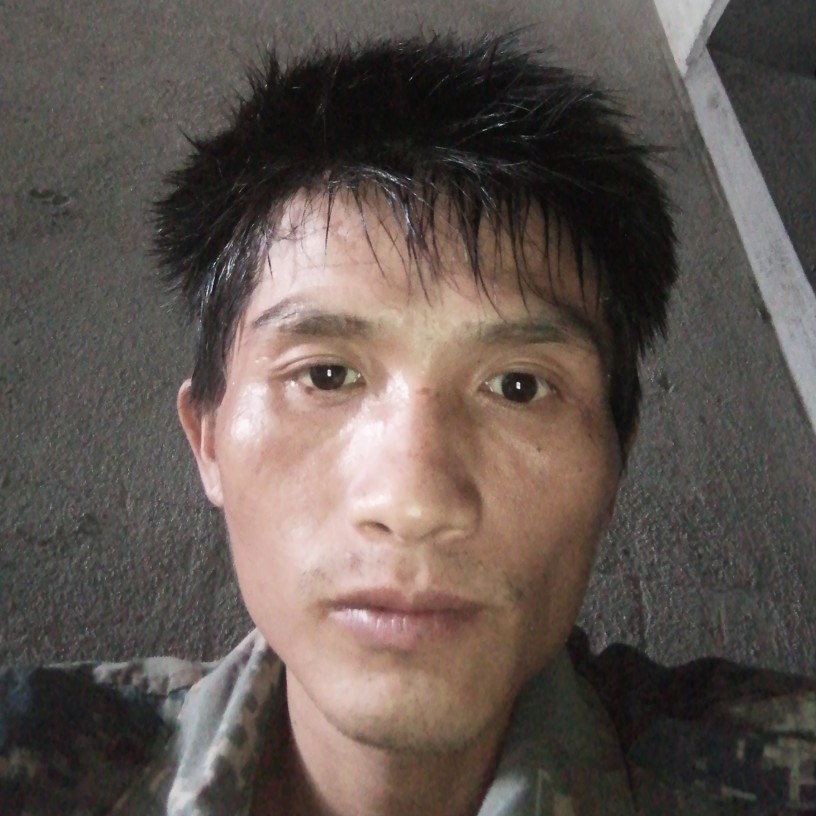 神勇宝马的照片