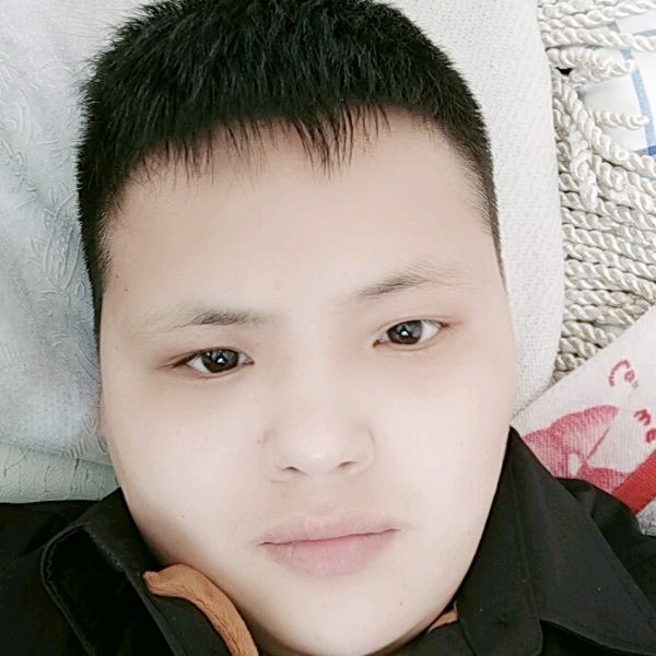 早晨和華麗的照片