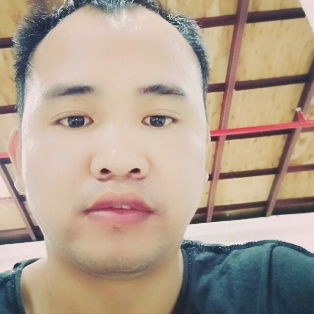 小鸽子泪了甜甜的照片
