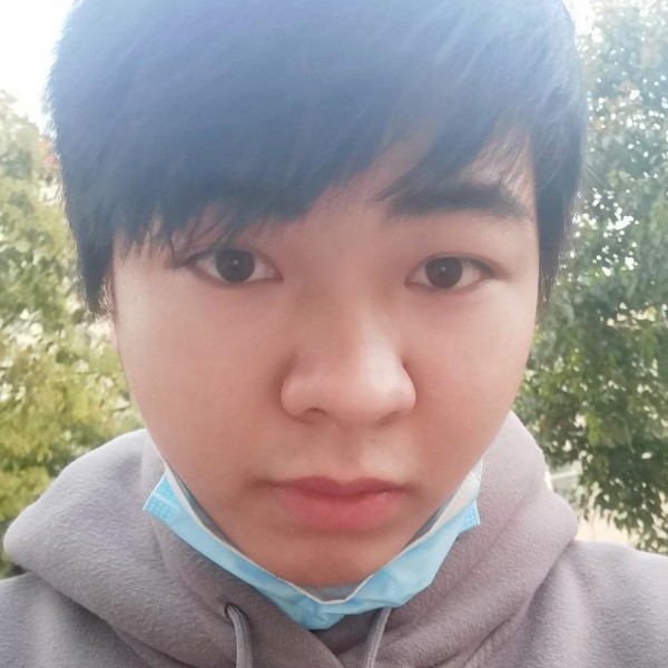 孤单的老虎的照片