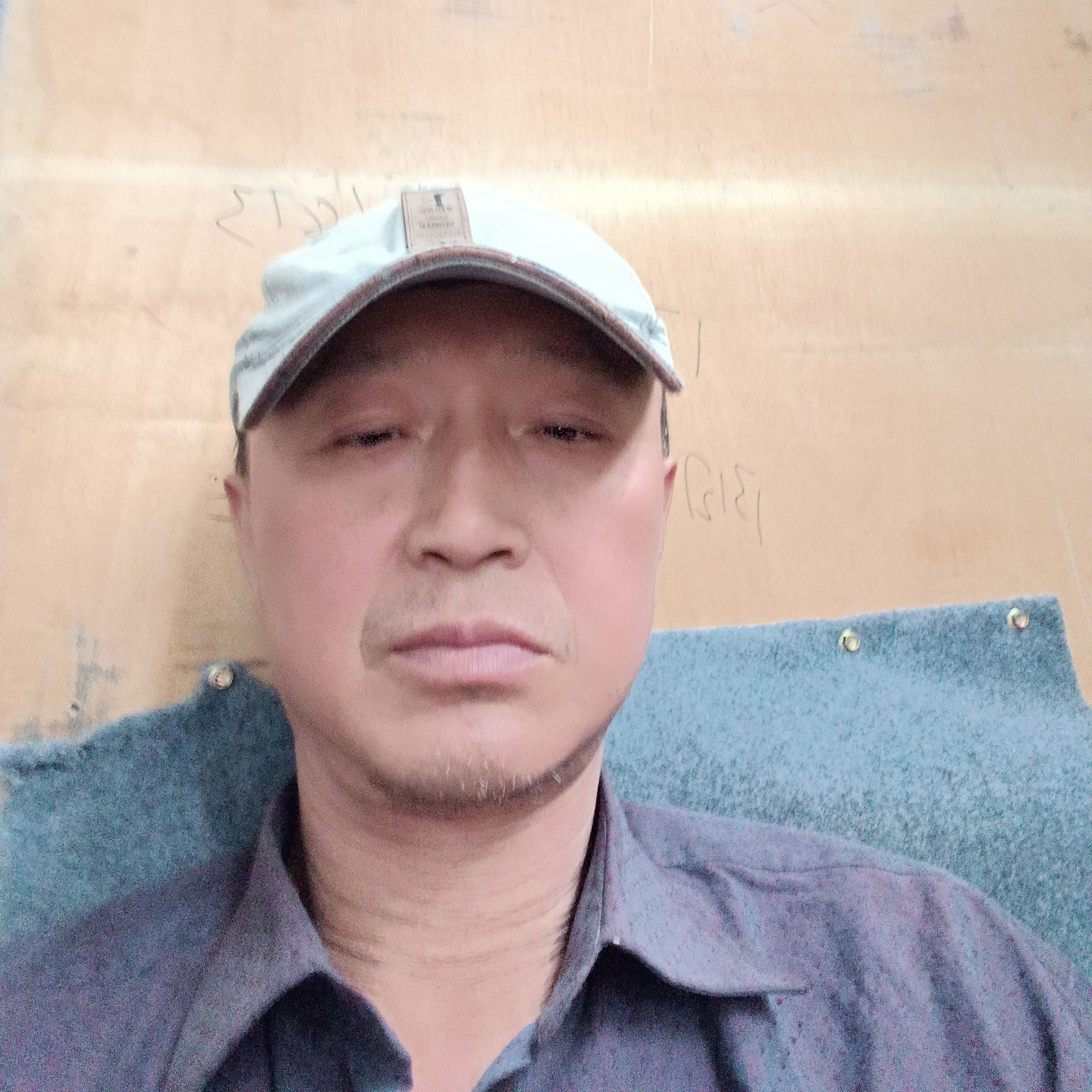 火龙果迷离的照片