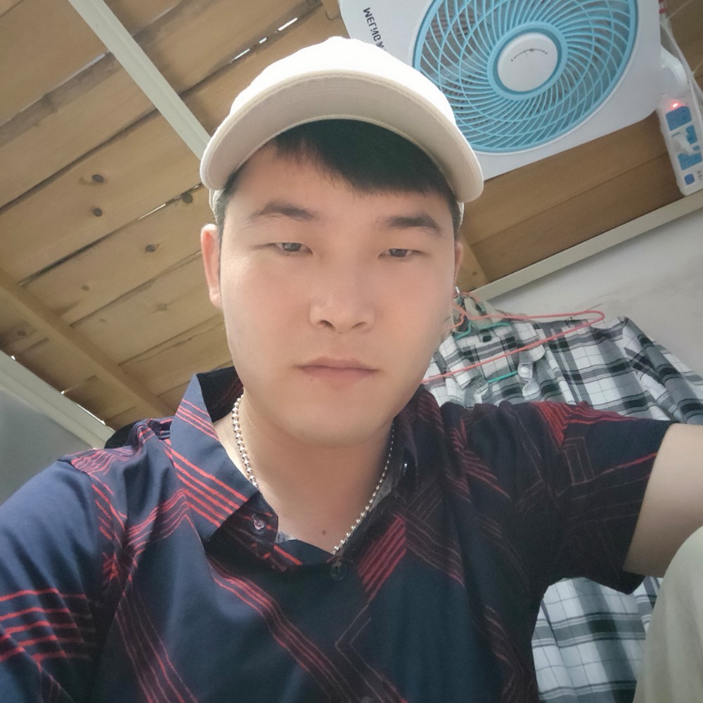 心岛請粗犷的照片