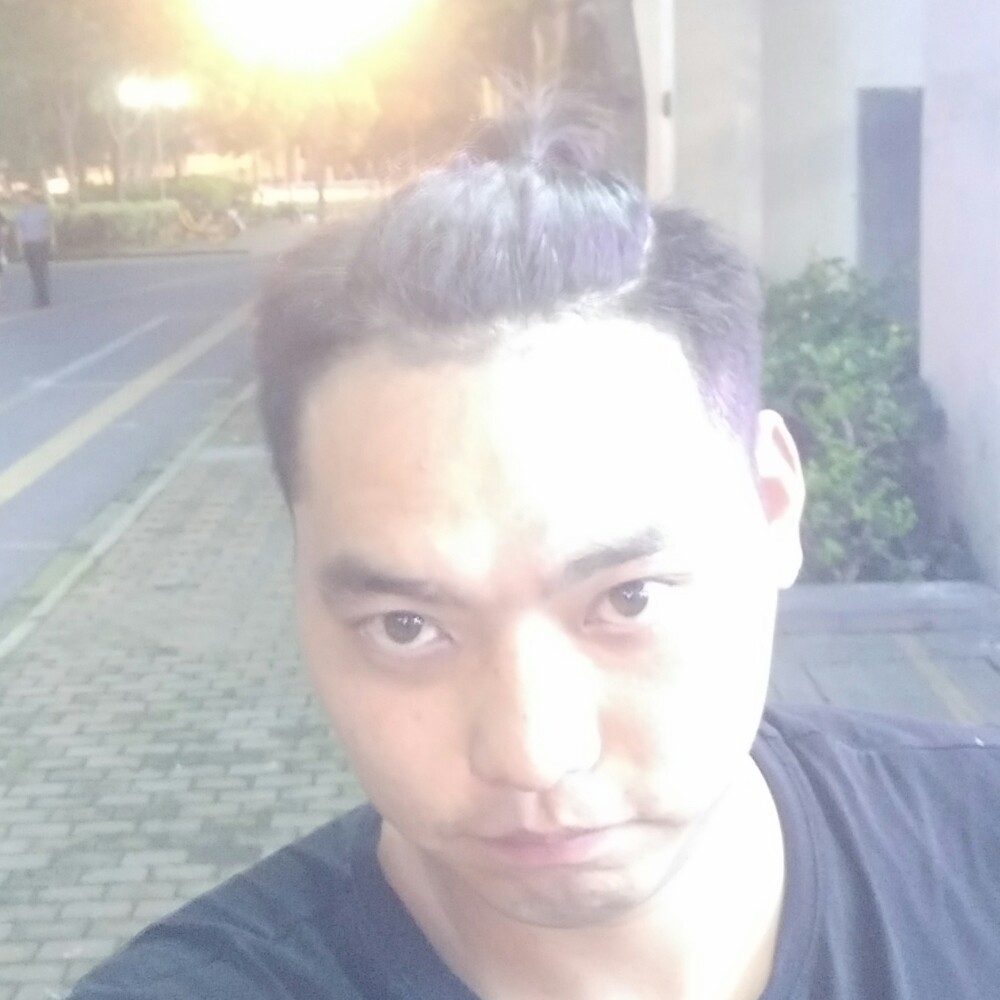 小懒猪漫步细腻的照片