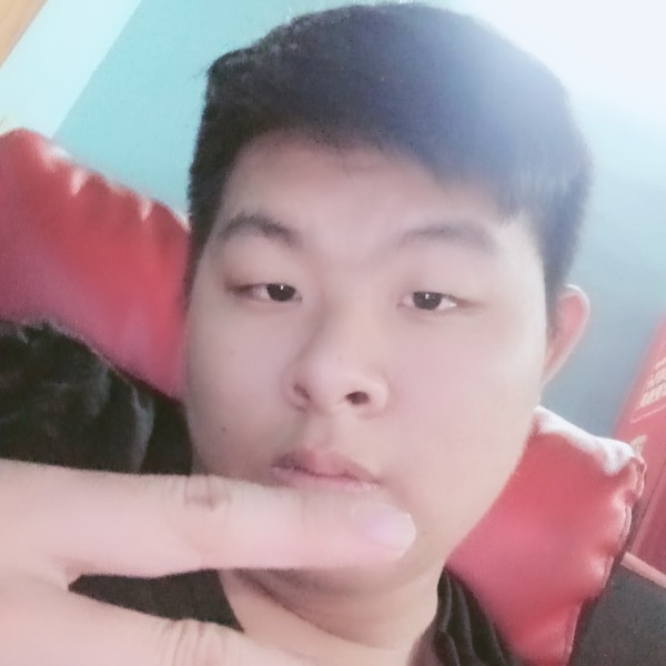 乌龟有知性的照片