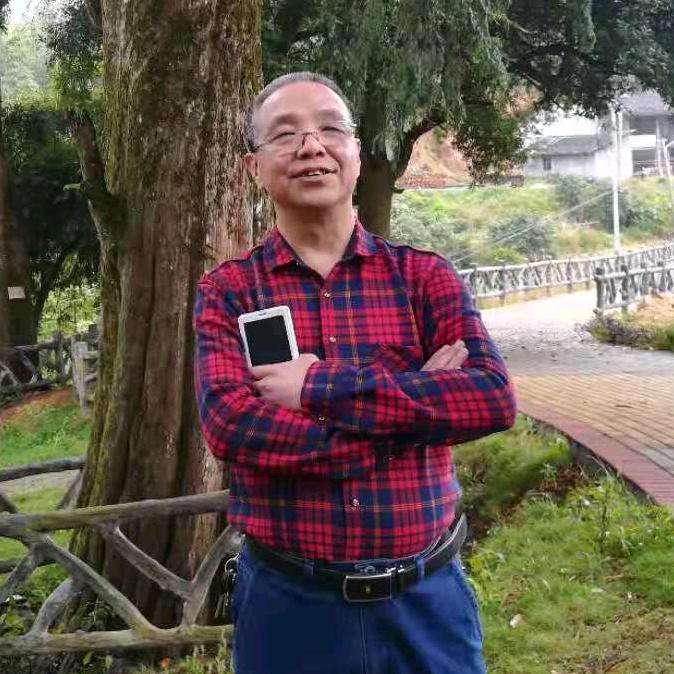 洋葱凝眸现实的照片